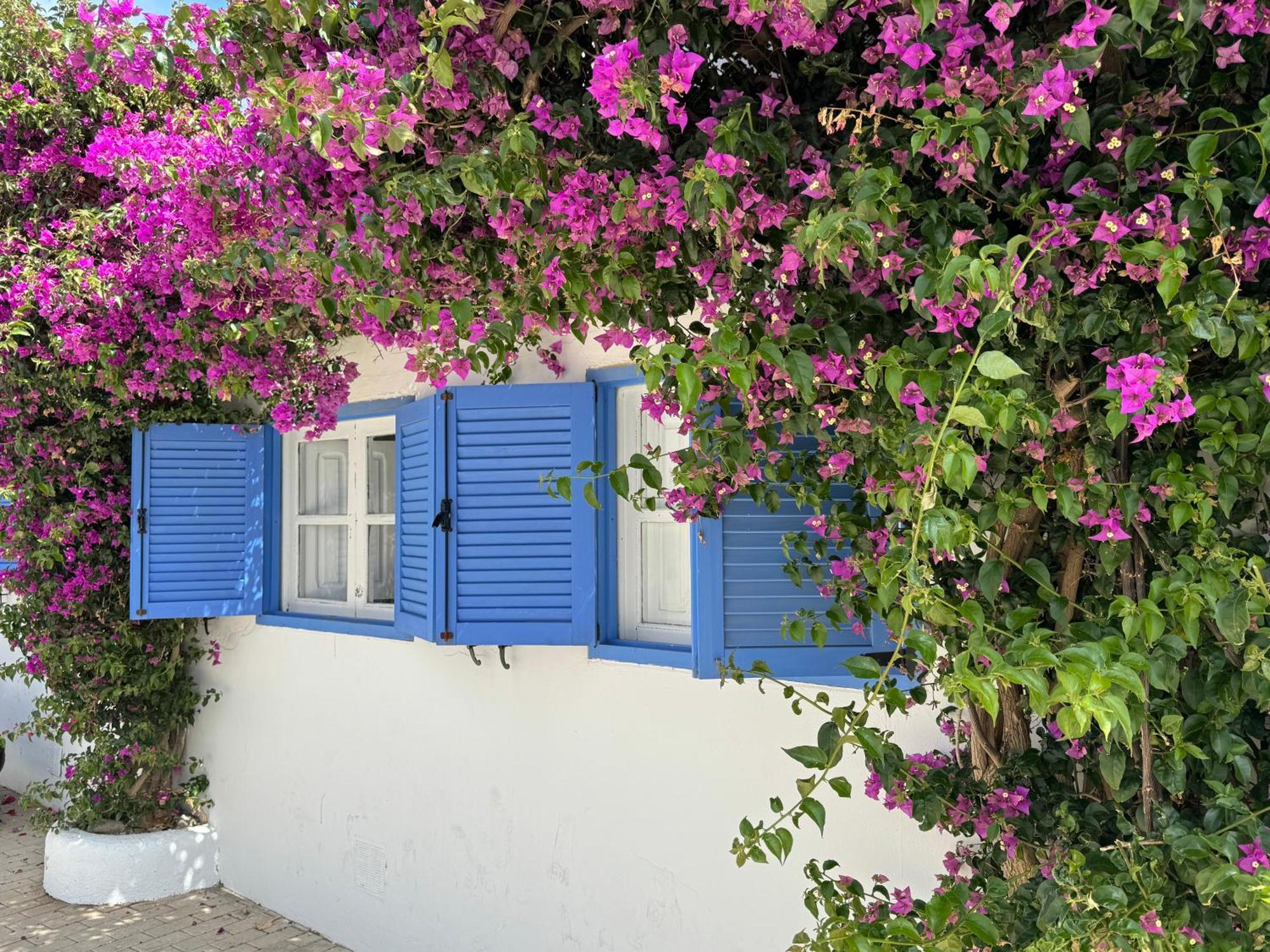 Casa Mellis Aguamarga Apartment Agua Amarga  Bagian luar foto